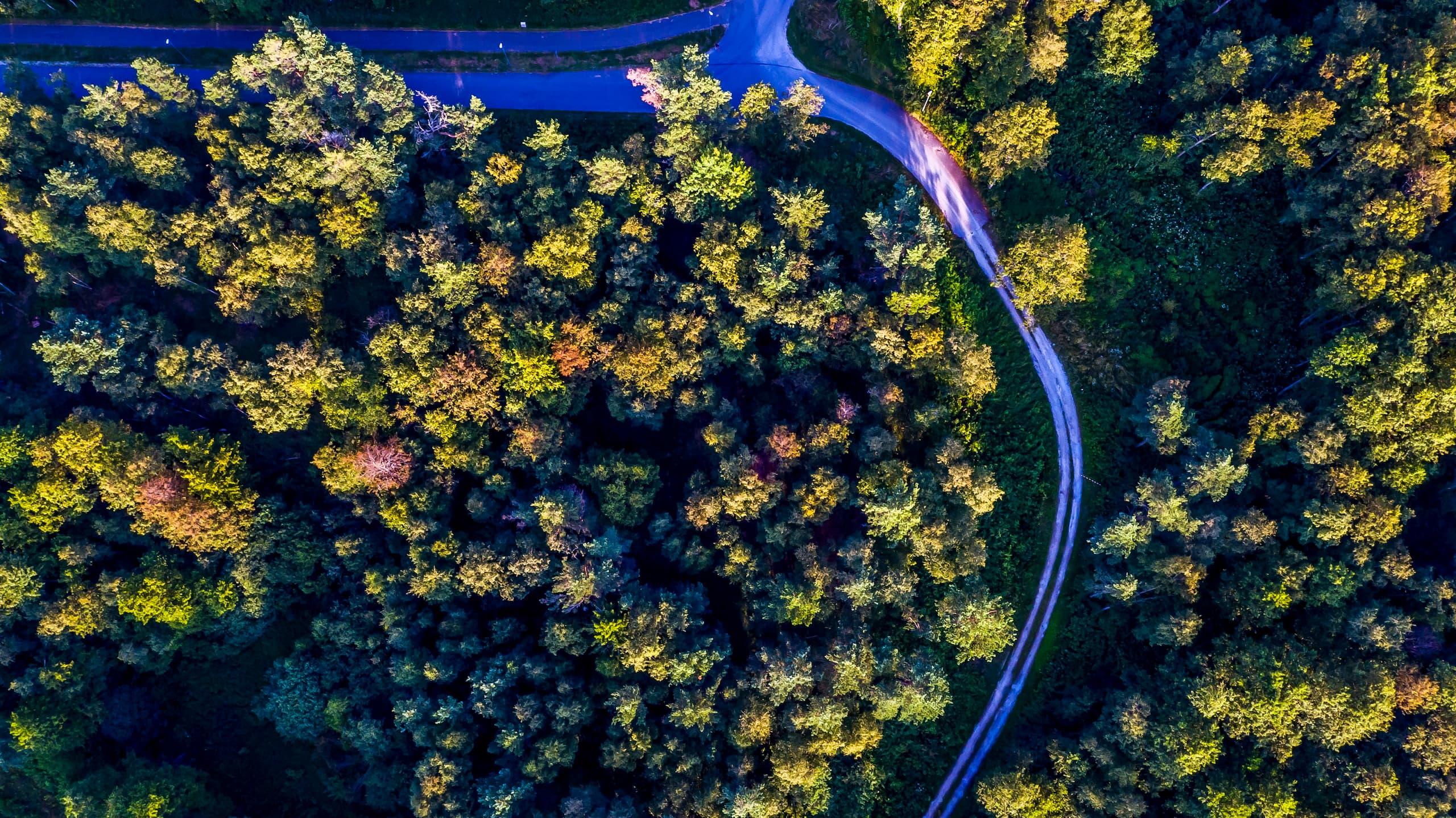 Laheranna birdview